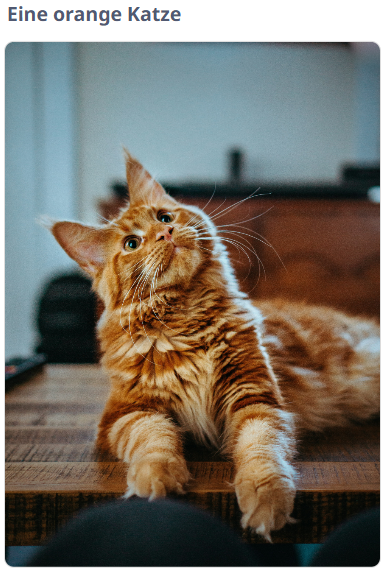 Beispiel Image Basic